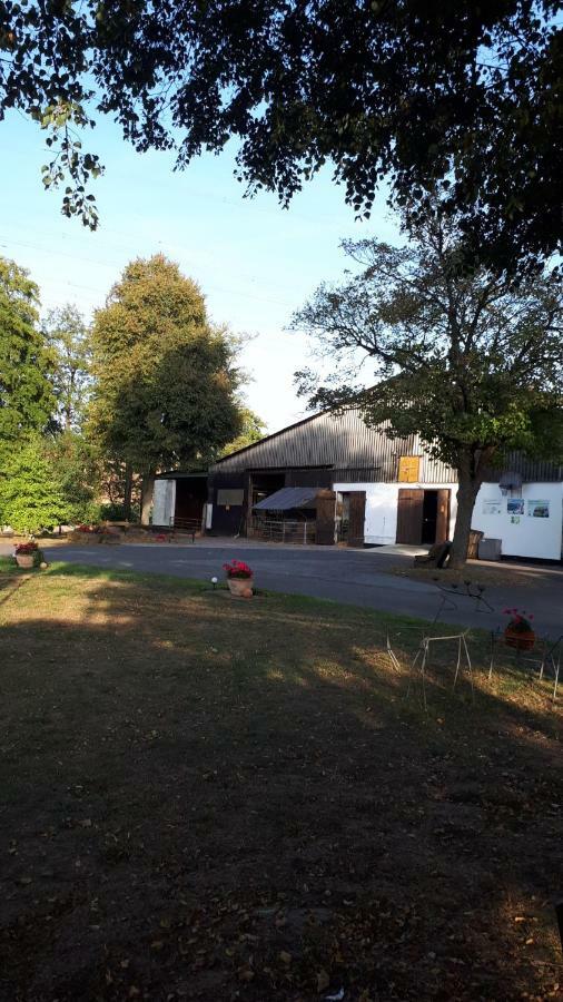 Ferienhof Papiermuehle Hofgeismar Exterior foto